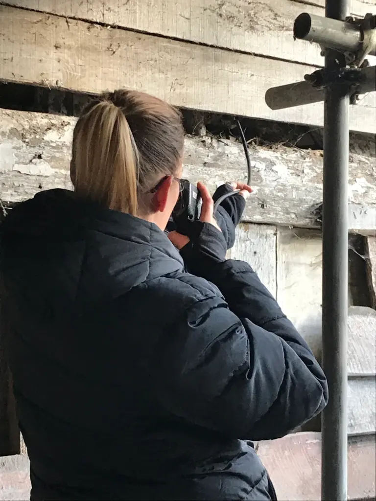 Bat Winter Hibernation Surveys