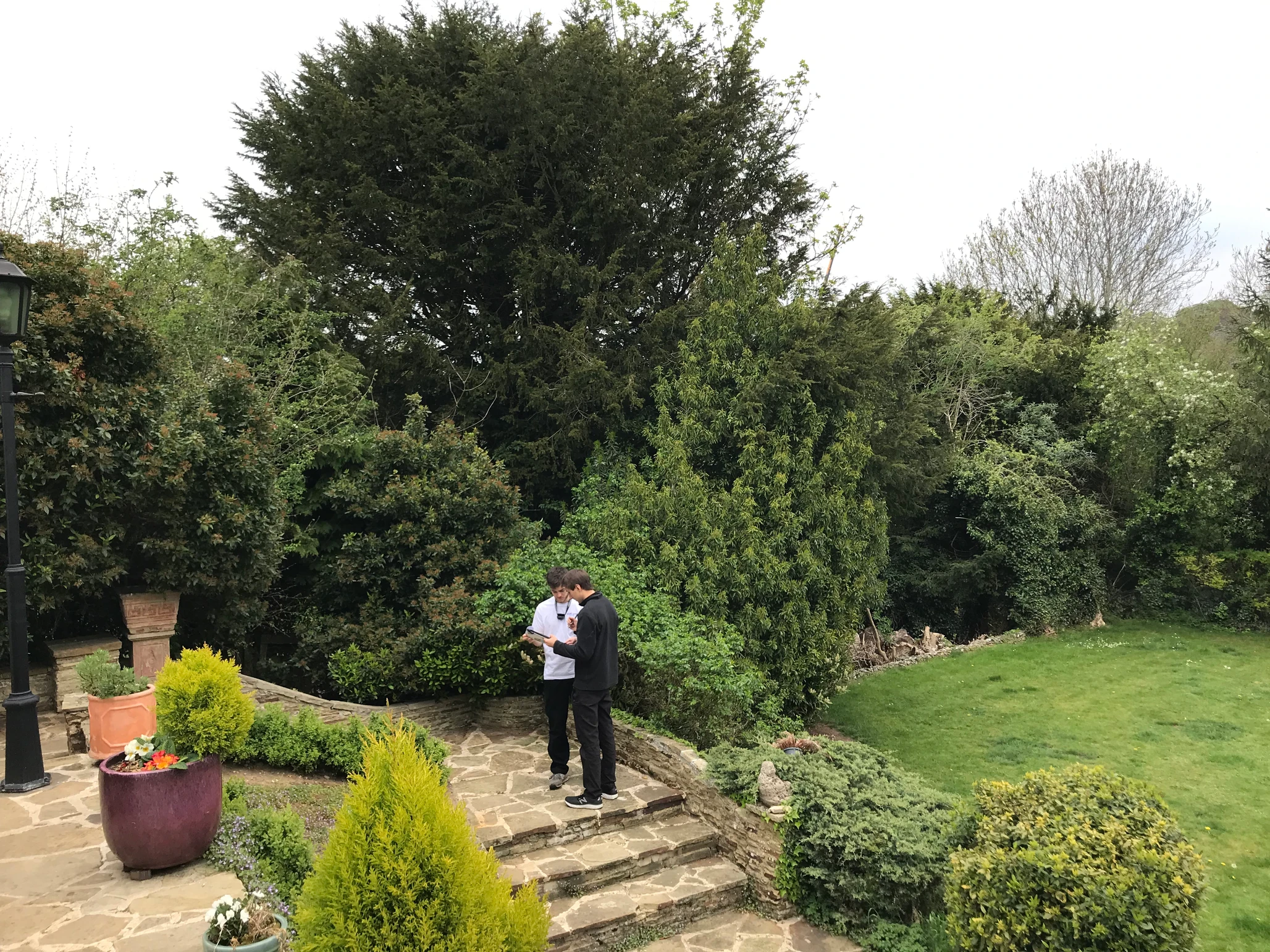 Surveyors in garden