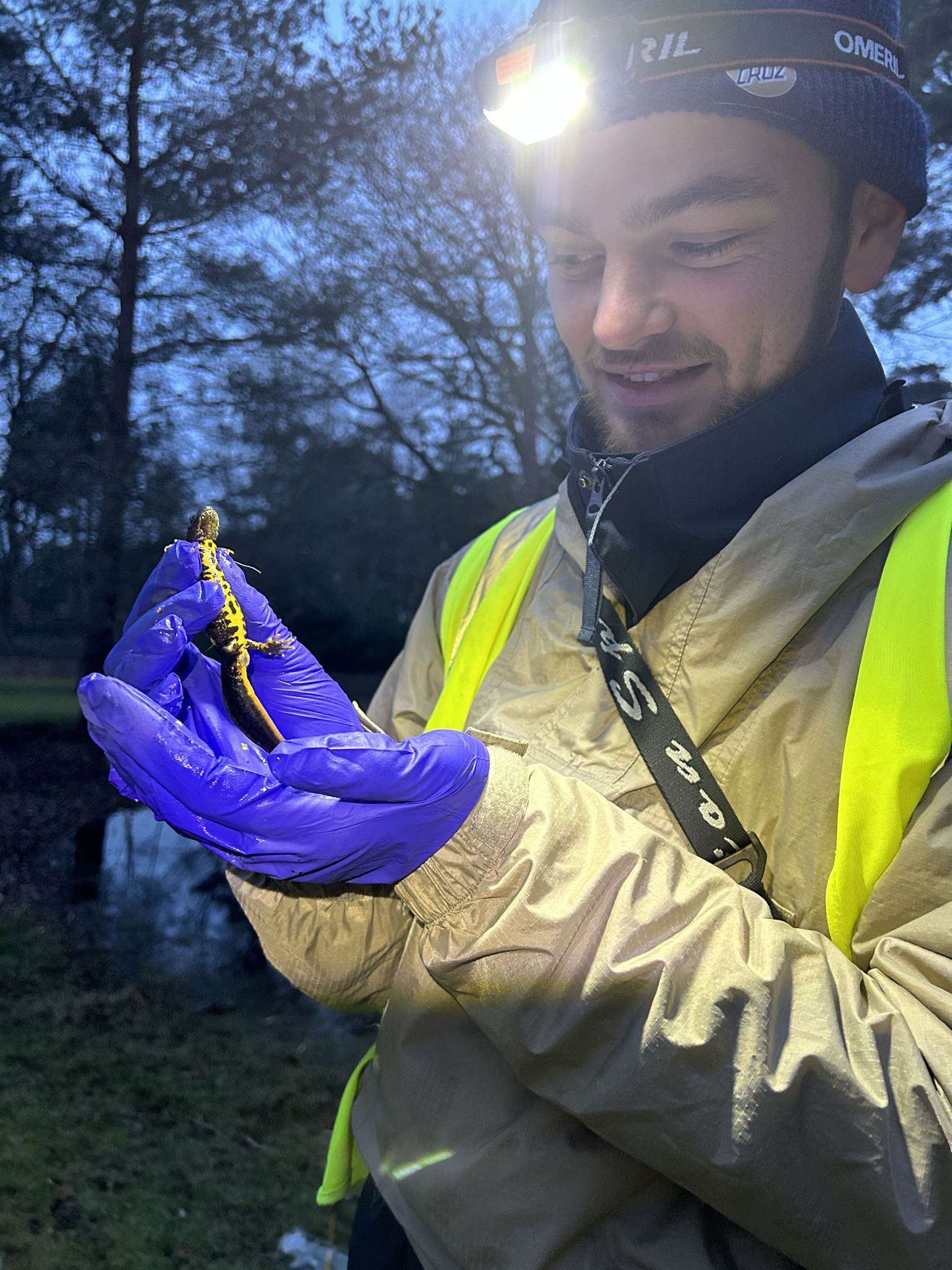 Man holding newt