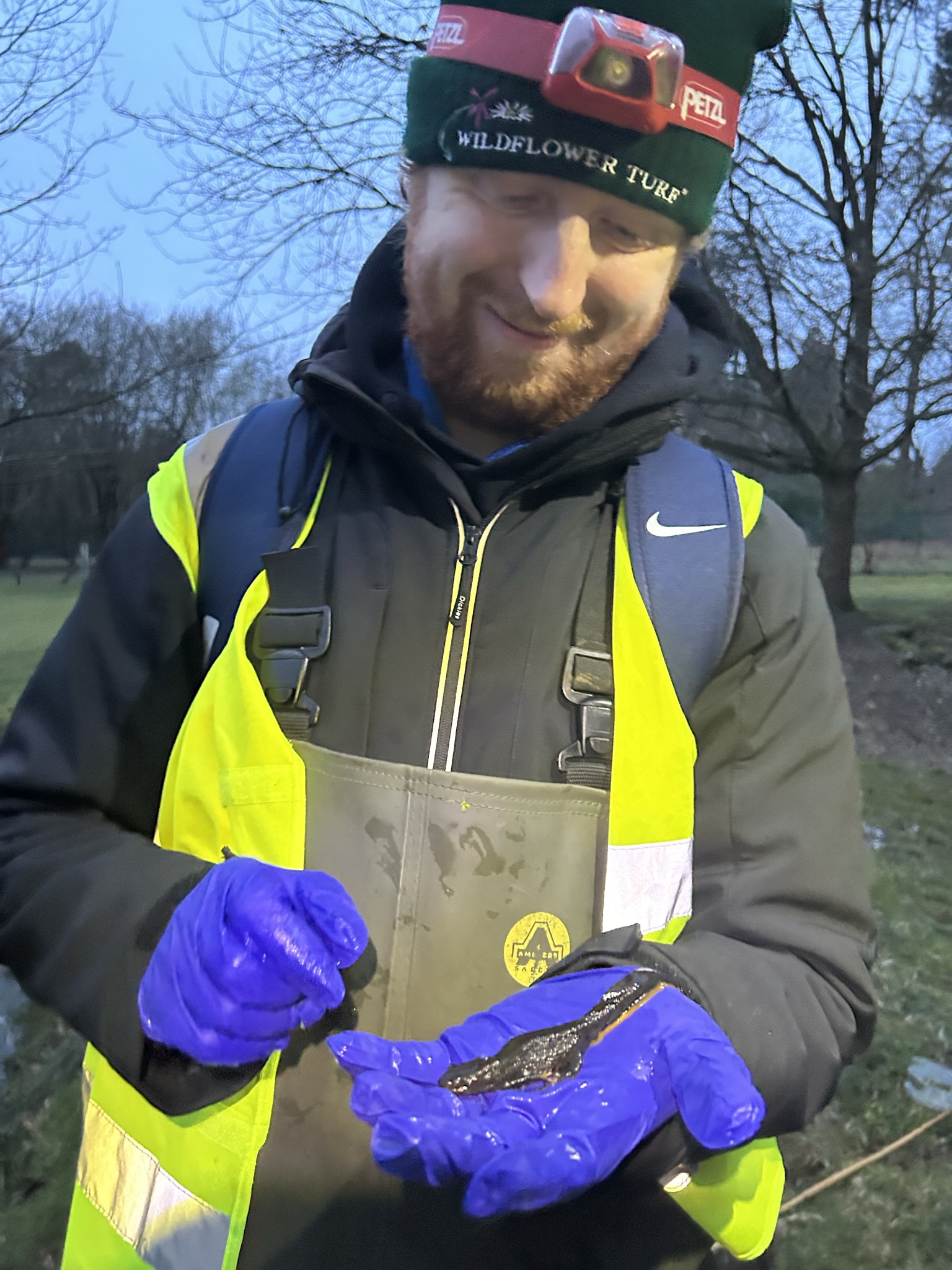 Man holding newt