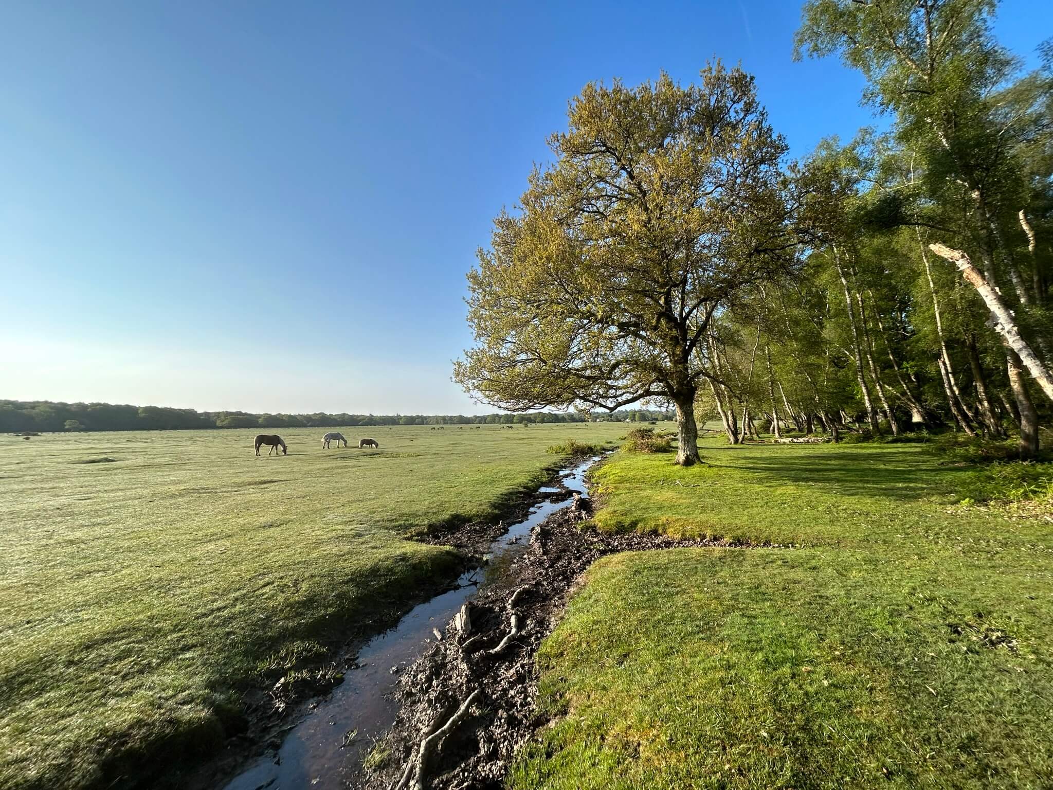 Small river crossing field