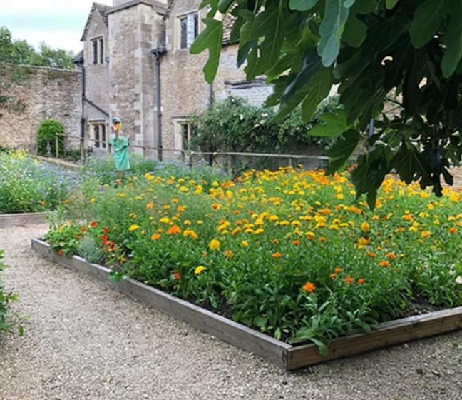 The 100 mile Bat – An Unexpected Discovery